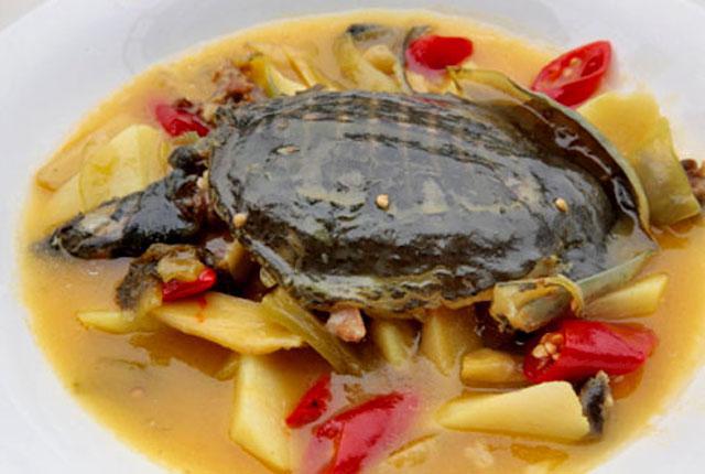 из каких черепах варят черепаховый суп