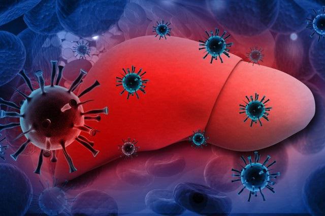 гепатиты виды пути инфицирования лечение профилактика