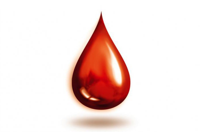 сдать кровь на донорство
