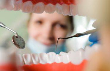профессия стоматолог ортодонт 