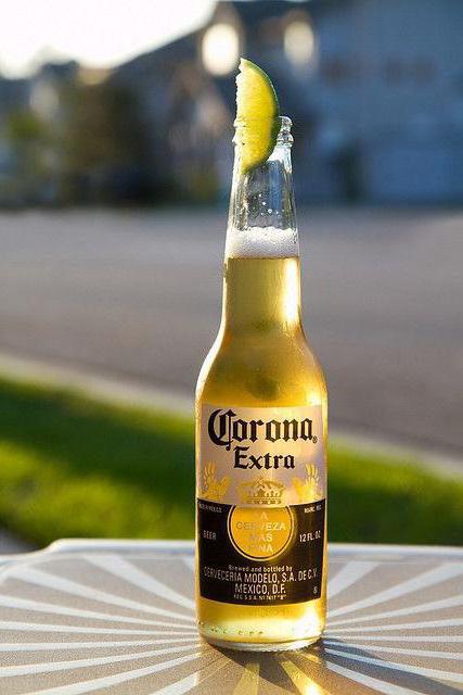 пиво corona отзывы 