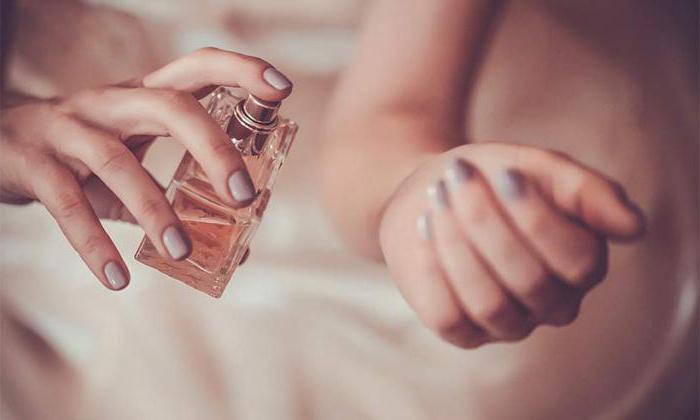 Работают ли духи с феромонами для женщин. Мужские парфюмы с феромонами: миф или реальность, как работают и стоимость. Как действуют волшебные молекулы