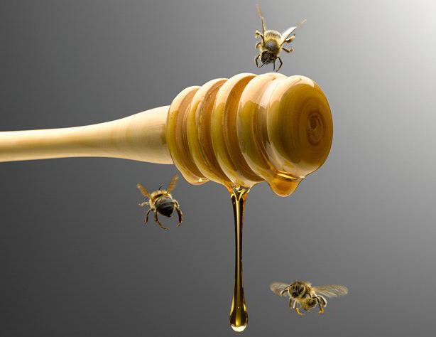 Тампоны с медом в гинекологии 17
