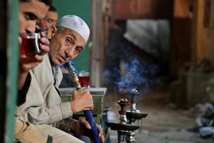 египетский табак для кальяна