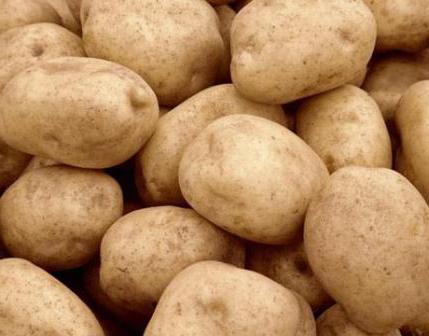 Картофель Тулеевский: описание сорта, как сажать картофель, уход и отзывы