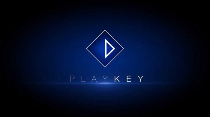 playkey net как играть