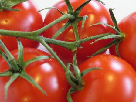 Сорт томатов Интуиция отзывы фото урожайность