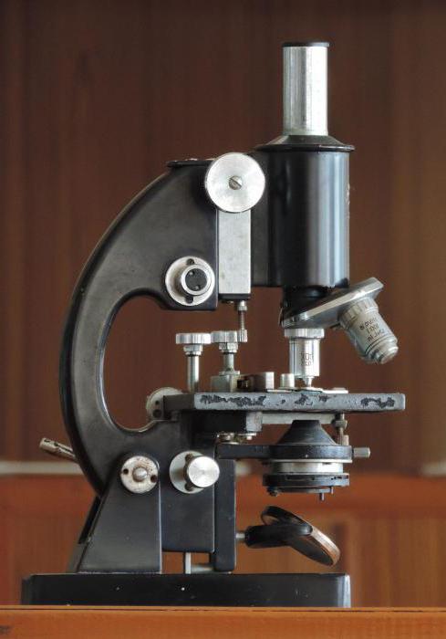 строение микроскопа