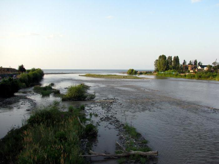 сплав по реке мзымта