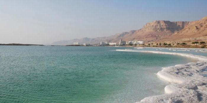 почему мертвое море так названо