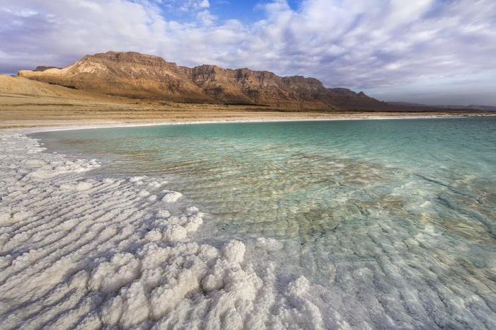 почему мертвое море называется мертвым