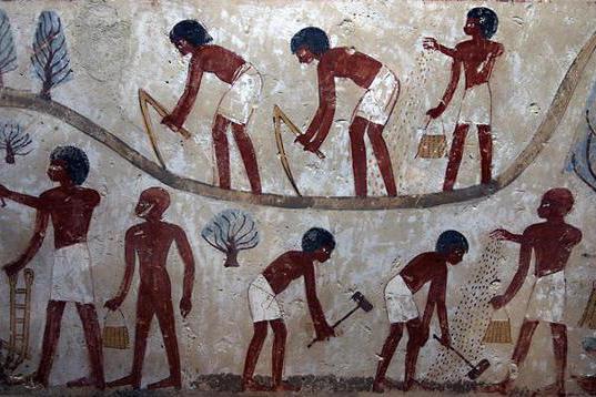 чем занимались земледельцы в древнем египте