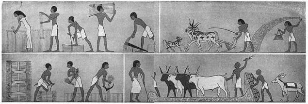 как жили земледельцы и ремесленники в египте