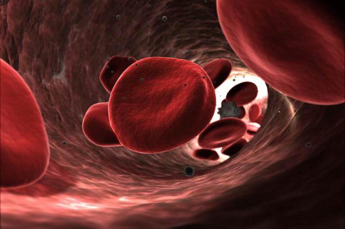 Анализ крови из вены какие бывают thumbnail