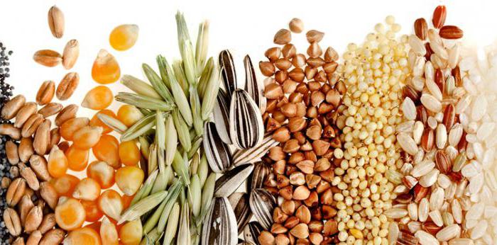 Какие виды зерна используют для приготовления круп?