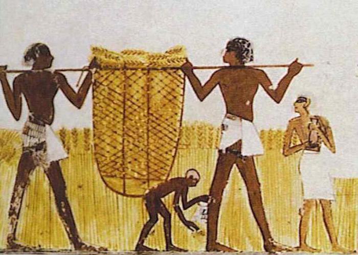 Сбор в пользу государства древний египет thumbnail