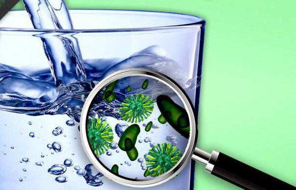 колиформные бактерии в питьевой воде
