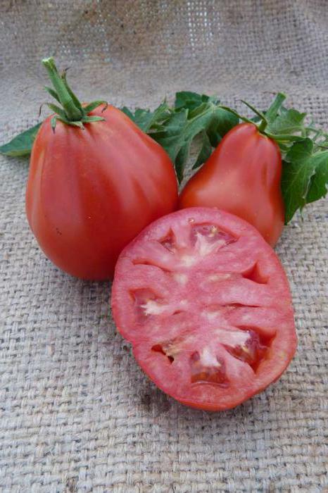 томаты трюфель красный отзывы 