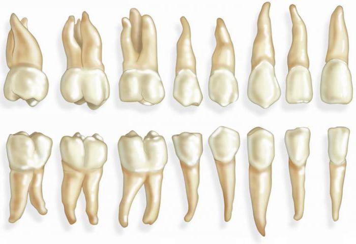 виды протезов зубов 