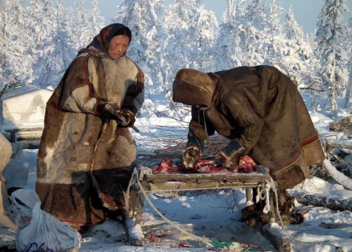коренное население Сибири