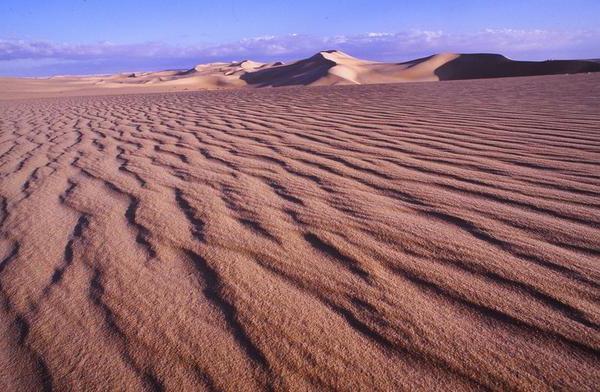 ливийская пустыня описание 