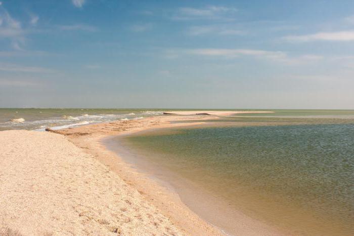 азовское море соленость воды