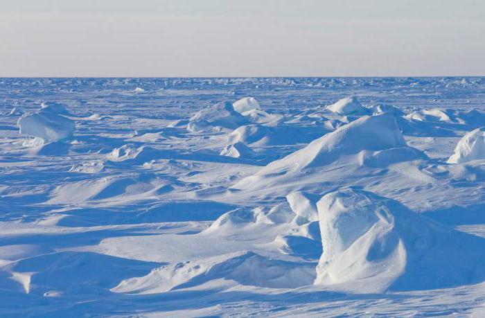 изменение климата арктики
