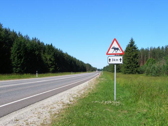 8 видов дорожных знаков 