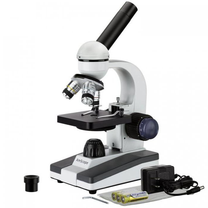 микроскоп световой определение 