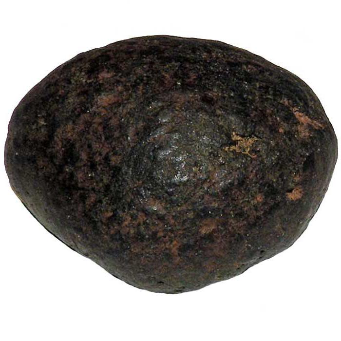 Тунгусский метеорит 