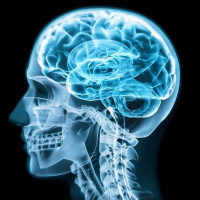реоэнцефалография сосудов головного мозга