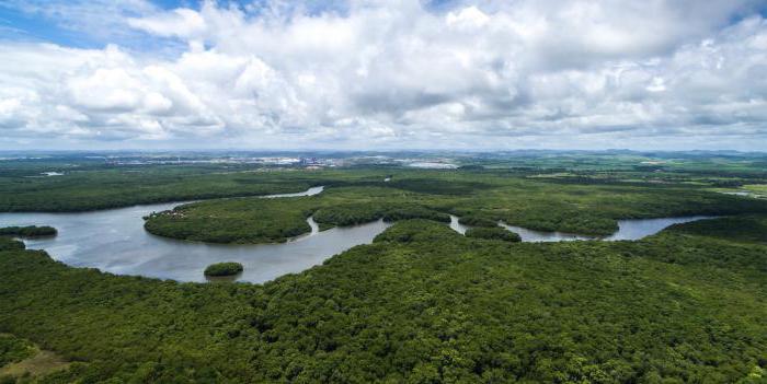 природные условия и ресурсы бразилии 