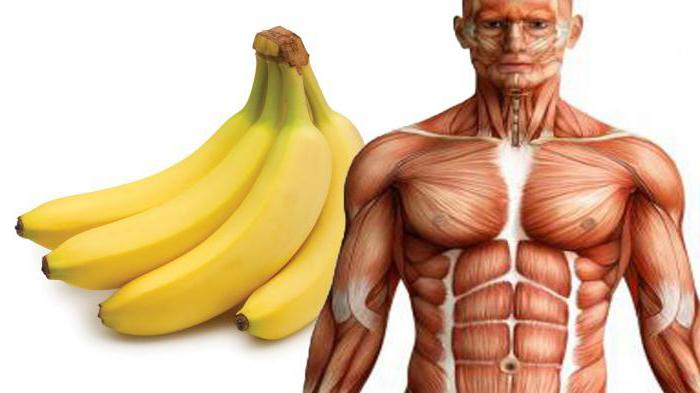 польза и вред бананов для мужчин