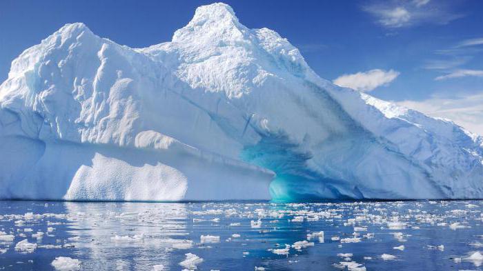 проект о суровом климате арктики и антарктиды 