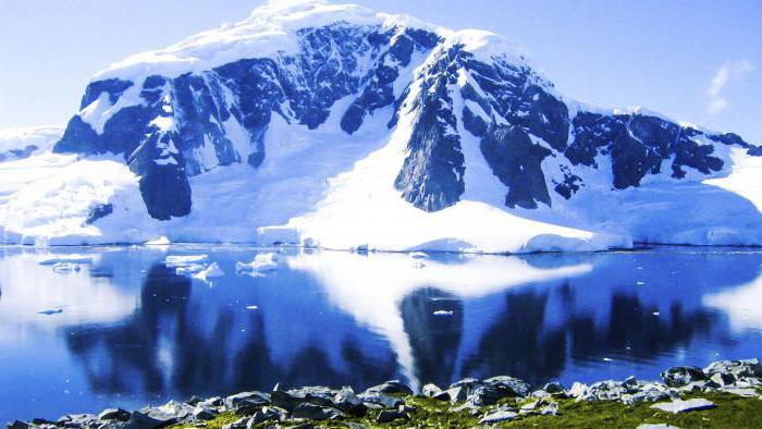 климат в антарктиде в древности 