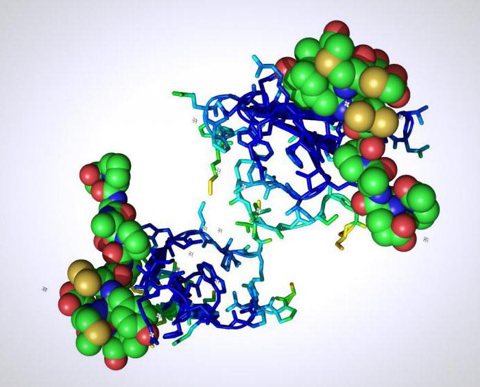 Белки ферменты синтезируются в. Синтез белка аминокислоты. Клетка для белки. Синтетический белок. Клетки белков.