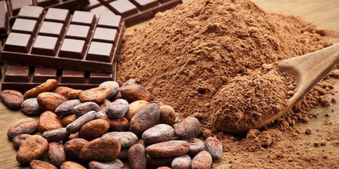 полезные свойства масла какао 