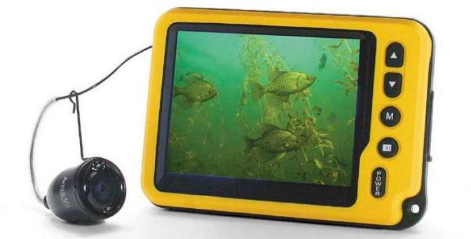 подводная камера для рыбалки видео летом