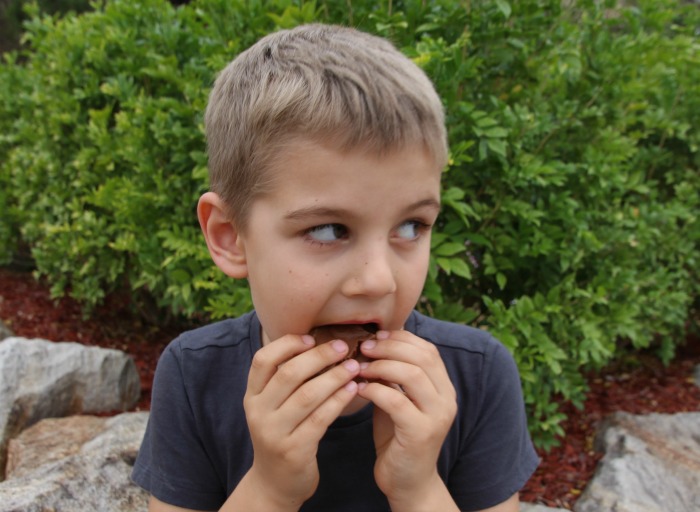 Как может проявляться аллергия на шоколад у ребенка фото thumbnail