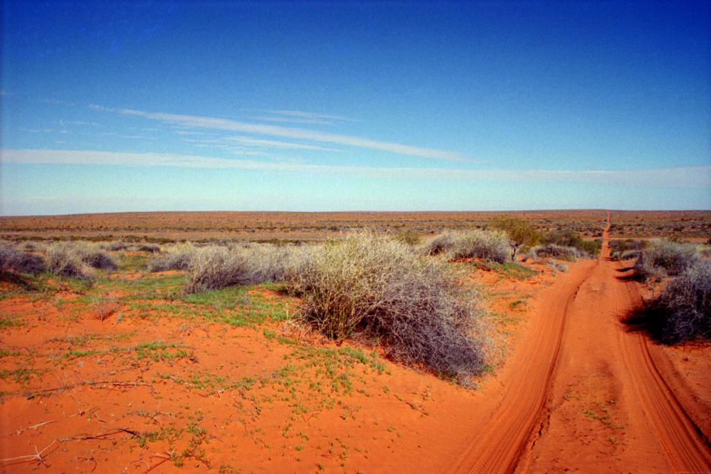 Австралийская пустыня