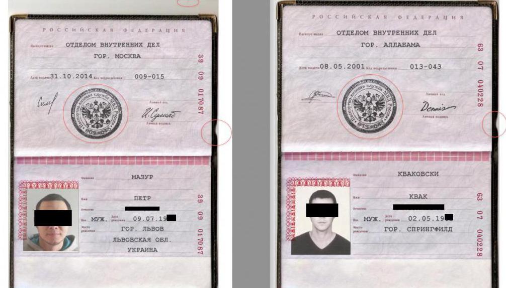 номер и серия паспорта