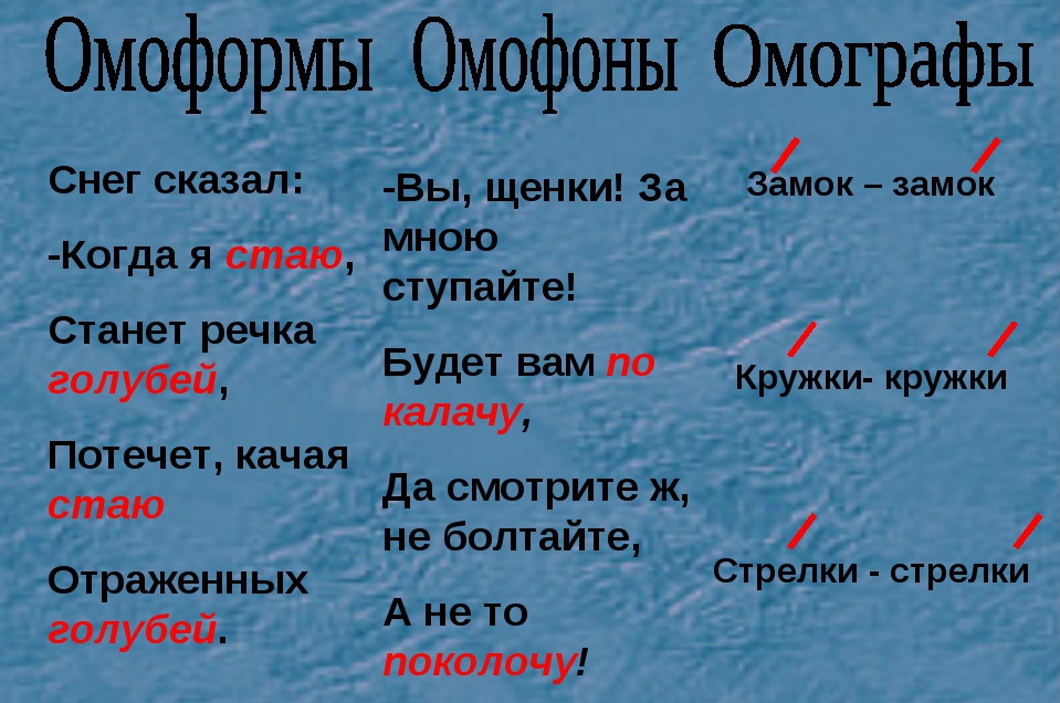 Примеры слова в течение. Омофоны примеры. Омофоны омографы омоформы. Омофоны примеры слов. Омоформы примеры.