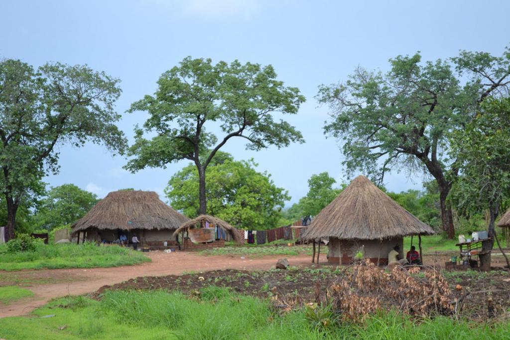 Дома замбийцев
