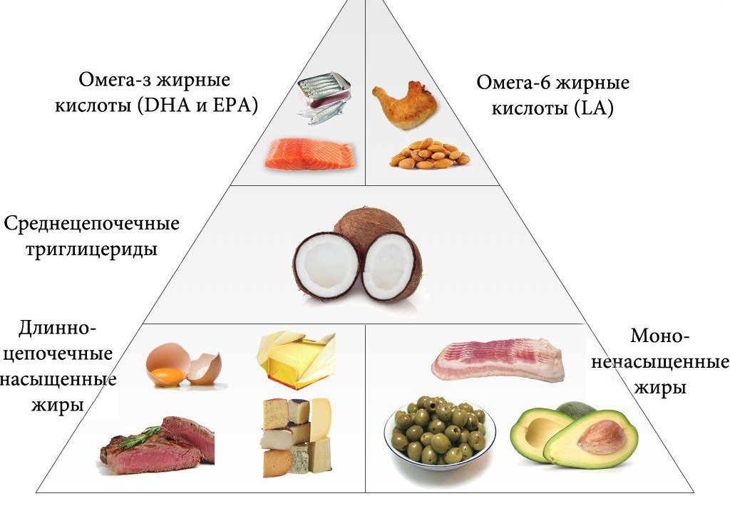 пирамида жирных кислот