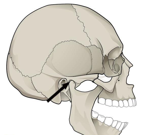 Изображение - Нижнечелюстной сустав симптомы 2468509