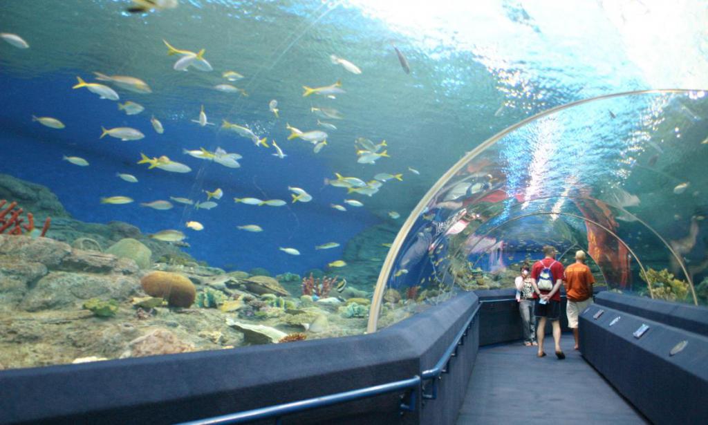 Pattaya Oceanarium
