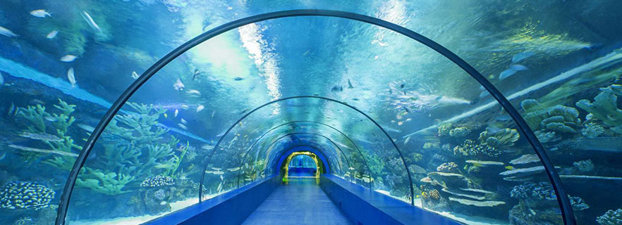 аквариум в Анталии