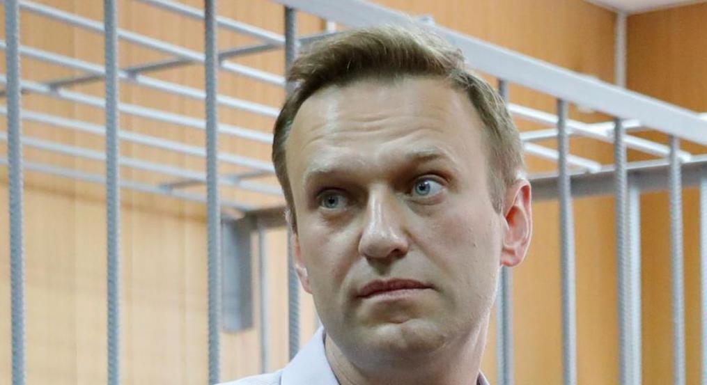 Политик Алексей Навальный биография
