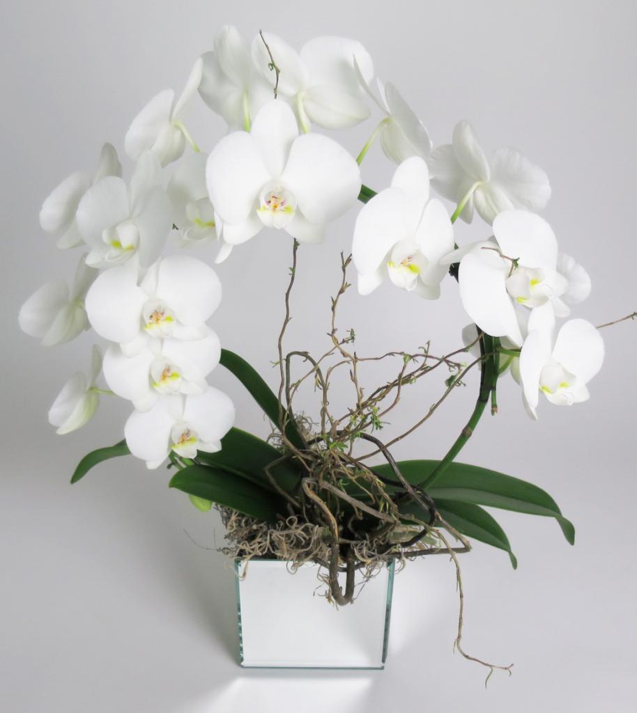 Свадебный букет из орхидей – идеи и мастер – класс