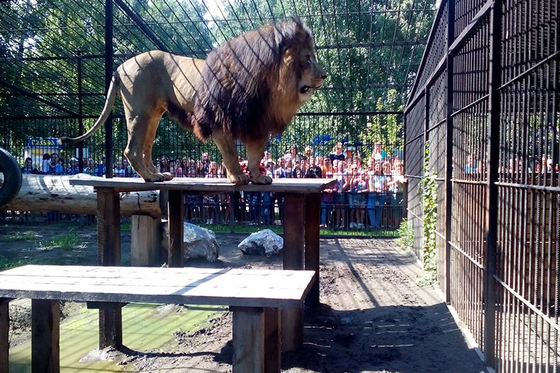 Зоопарк в Барнауле